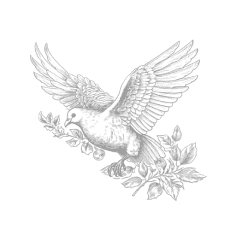 Shepherd's Vine Christian Centre